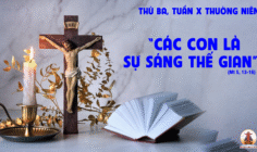10.06.2025 – Thứ Ba Tuần X Thường Niên