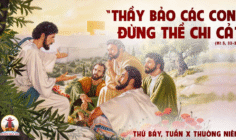 14.06.2025 – Thứ Bảy Tuần X Thường Niên