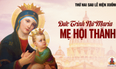 09.06.2025 – Thứ Hai Tuần X Thường Niên: Lễ Đức Trinh Nữ Maria, Mẹ Hội Thánh