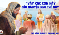 19.06.2025 – Thứ Năm Tuần XI Thường Niên
