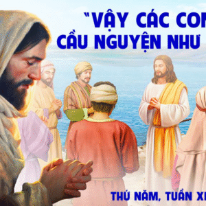 19.06.2025 – Thứ Năm Tuần XI Thường Niên