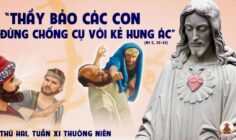 16.06.2025 – Thứ Hai Tuần XI Thường Niên