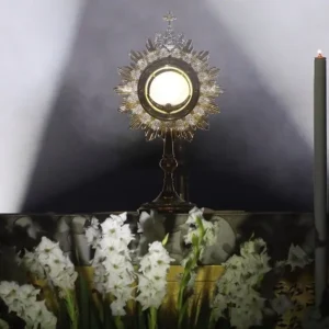 Vatican công nhận phép lạ Thánh Thể đầu tiên tại Ấn Độ