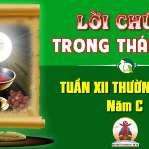 Lời Chúa trong thánh lễ Tuần XII Thường niên – Năm C