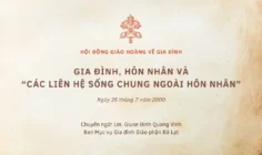 Gia đình, hôn nhân và các “liên hệ sống chung ngoài hôn nhân