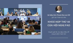 Sứ điệp Đức Thánh Cha Lêô XIV gửi Hội nghị của Tổ chức Lương thực và Nông nghiệp Liên hợp quốc năm 2025