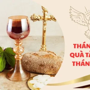 Thánh Thể - Quà tặng của Thánh Thần