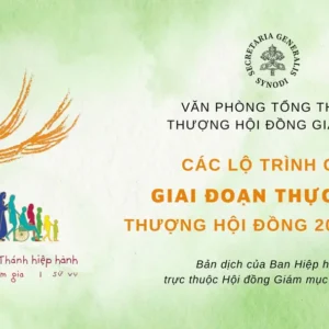 Các lộ trình cho giai đoạn thực hiện Thượng Hội đồng 2025 - 2028