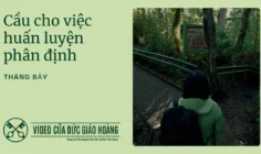 Ý cầu nguyện của Đức Thánh Cha tháng 7/2025: Cầu cho việc huấn luyện sự phân định