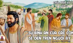CÁC BÀI SUY NIỆM LỜI CHÚA CHÚA NHẬT XIV THƯỜNG NIÊN – NĂM C