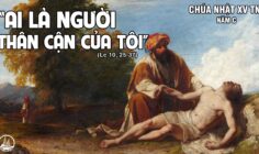 CÁC BÀI SUY NIỆM LỜI CHÚA CHÚA NHẬT XV THƯỜNG NIÊN-C