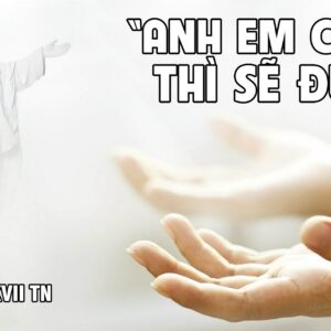 CÁC BÀI SUY NIỆM LỜI CHÚA CHÚA NHẬT XVII THƯỜNG NIÊN – NĂM C