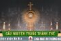 Cầu nguyện trước Thánh Thể- Ngày 20.07.2025 – Chúa nhật XVI Thường niên – Lc 10,38-42