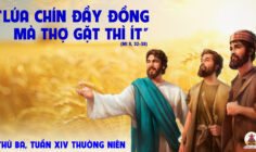 08.07.2025 – Thứ Ba Tuần XIV Thường Niên