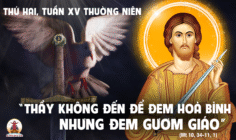 14.07.2025 – Thứ Hai Tuần XV Thường Niên