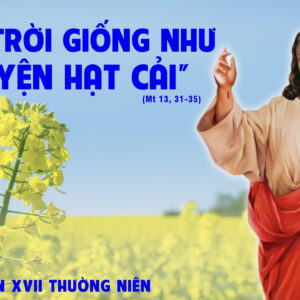 28.07.2025 – Thứ Hai Tuần XVII Thường Niên