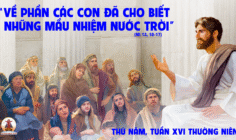 24.07.2025 – Thứ Năm Tuần XVI Thường Niên