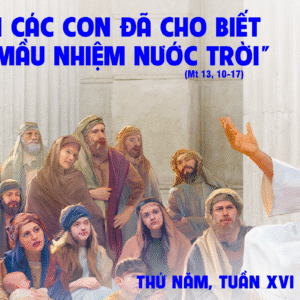 24.07.2025 – Thứ Năm Tuần XVI Thường Niên