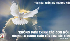 11.07.2025 – Thứ Sáu Tuần XIV Thường Niên