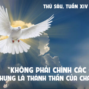 11.07.2025 – Thứ Sáu Tuần XIV Thường Niên