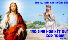 23.07.2025 – Thứ Tư Tuần XVI Thường Niên
