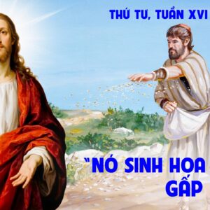 23.07.2025 – Thứ Tư Tuần XVI Thường Niên