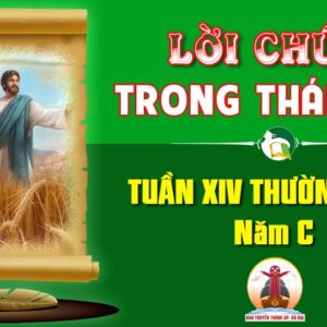 Lời Chúa trong thánh lễ Tuần XIV Thường niên – Năm C