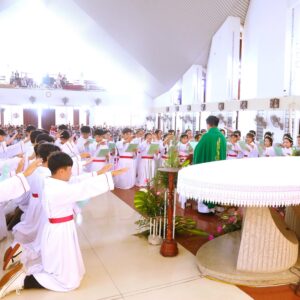 Gx. Bến Đá: Thánh lễ Tuyên hứa Bao Đồng- Ngày 03.8.2025