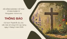 Ủy ban Phụng tự: Thông báo cử hành Thánh lễ cầu cho việc bảo vệ công trình tạo dựng ngày 01/9/2025