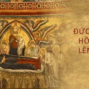 Ngày 15 tháng 8: Lễ trọng Đức Mẹ hồn xác lên trời