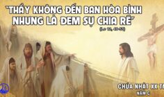 CÁC BÀI SUY NIỆM LỜI CHÚA CHÚA NHẬT XX THƯỜNG NIÊN – NĂM C
