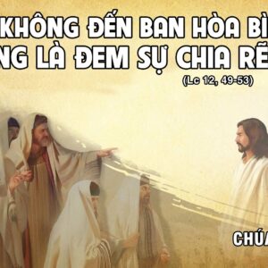 CÁC BÀI SUY NIỆM LỜI CHÚA CHÚA NHẬT XX THƯỜNG NIÊN – NĂM C