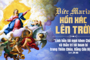 15.08.2025 – Thứ Sáu Tuần XIX Thường Niên: Đức Maria Hồn Xác Lên Trời