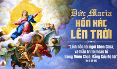 15.08.2025 – Thứ Sáu Tuần XIX Thường Niên: Đức Maria Hồn Xác Lên Trời