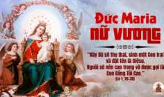 22.08.2025 – Thứ Sáu Tuần XX Thường Niên: Đức Maria Nữ Vương