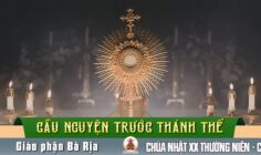 Cầu nguyện trước Thánh Thể- Ngày 17.08.2025 – Chúa nhật XX Thường niên – Lc 12,49-53