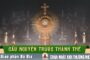 Cầu nguyện trước Thánh Thể- Ngày 31.08.2025 – Chúa nhật XXII Thường niên – Lc 14,1.7-14