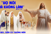 23.08.2025 – Thứ Bảy Tuần XX Thường Niên