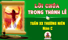 Lời Chúa trong thánh lễ Tuần XX Thường niên – Năm C