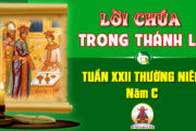 Lời Chúa trong thánh lễ Tuần XXII Thường niên – Năm C