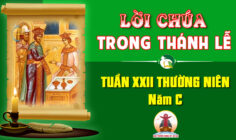 Lời Chúa trong thánh lễ Tuần XXII Thường niên – Năm C