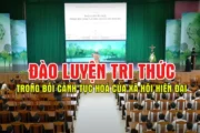 VIDEO: Đào luyện tri thức trong bối cảnh tục hoá của xã hội hiện đại