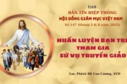 Huấn luyện bạn trẻ tham gia sứ vụ truyền giáo
