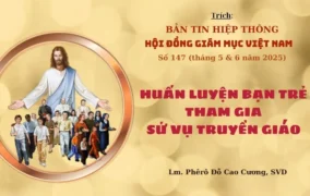 Huấn luyện bạn trẻ tham gia sứ vụ truyền giáo