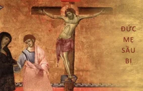 Ngày 15 tháng 9: Lễ Đức Mẹ Sầu Bi