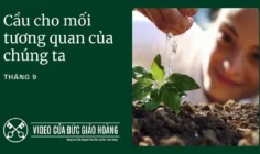 Ý cầu nguyện của Đức Thánh Cha tháng 9/2025: Cầu nguyện cho mối tương quan của chúng ta với thế giới tạo thành