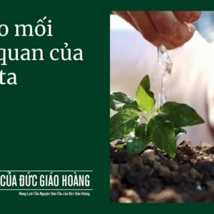 Ý cầu nguyện của Đức Thánh Cha tháng 9/2025: Cầu nguyện cho mối tương quan của chúng ta với thế giới tạo thành