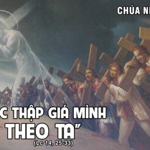 CÁC BÀI SUY NIỆM LỜI CHÚA CHÚA NHẬT XXIII THƯỜNG NIÊN-C