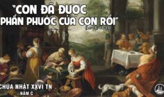 CÁC BÀI SUY NIỆM LỜI CHÚA CHÚA NHẬT XXVI THƯỜNG NIÊN-C