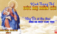CÁC BÀI SUY NIỆM LỜI CHÚA LỄ ĐỨC MẸ MÂN CÔI
